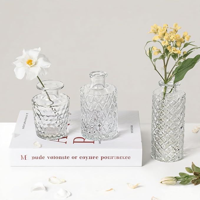 Glass Bud Vase Set of 3 Pcs Small Minimalist Vases by Tahnach