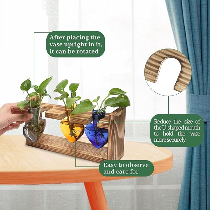 Plant Terrarium Propagation Stations Hydroponics Home Garden Decoration Gift - Image 3