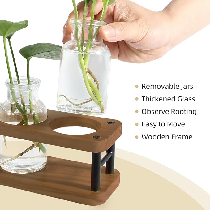 THYGIFTREE Plant Propagation Station - Image 3