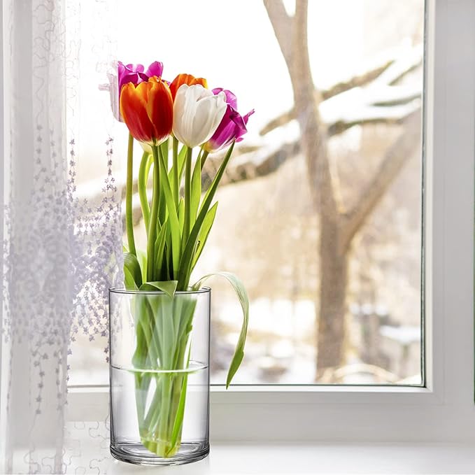 Frcctre 8 Pack 6 Inch Glass Cylinder Vases - Image 8