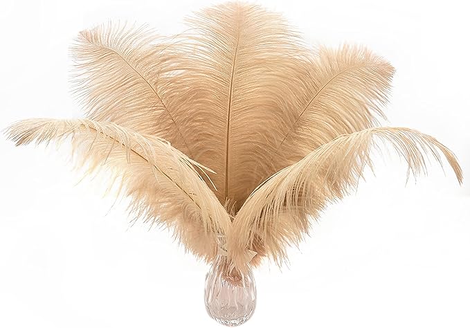Ballinger Champagne Ostrich Feathers Bulk by Ballinger
