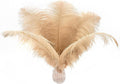 Ballinger Large Champagne Ostrich Feathers by Ballinger