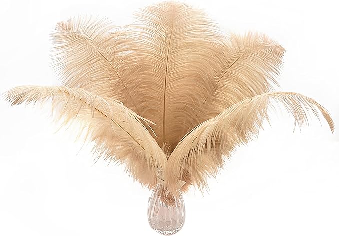 Ballinger Large Champagne Ostrich Feathers by Ballinger