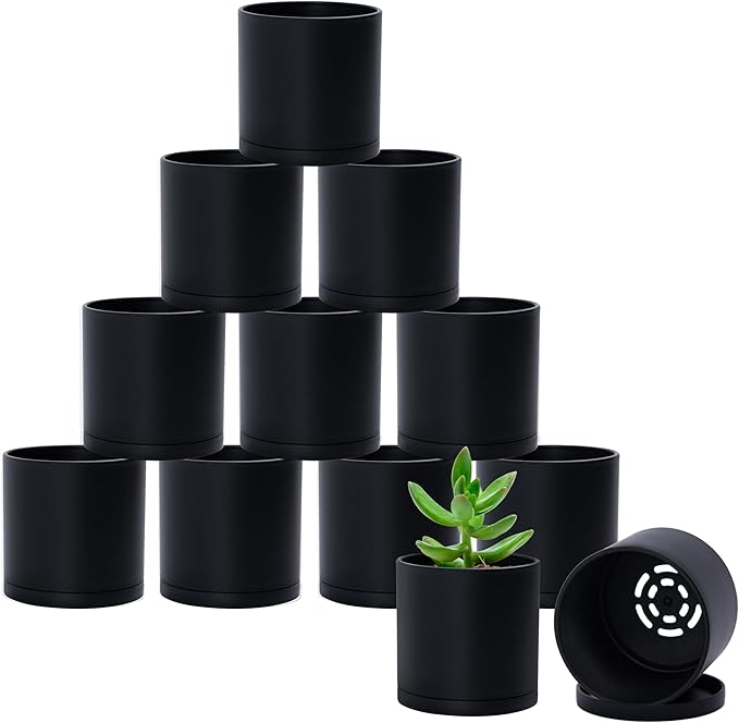 D'vine Dev 12 Pack 3.5 Inch Mini Plastic Plant Pots, Small Garden Planters by DvineDevPlanterPotsandStand