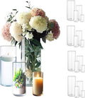 16 Pack Clear Glass Cylinder Vases by Sandraheer