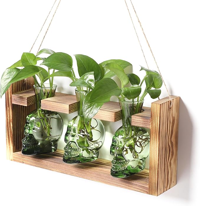 Plant Terrarium Propagation Stations Hydroponics Halloween Skull Planter Vase by Unknown