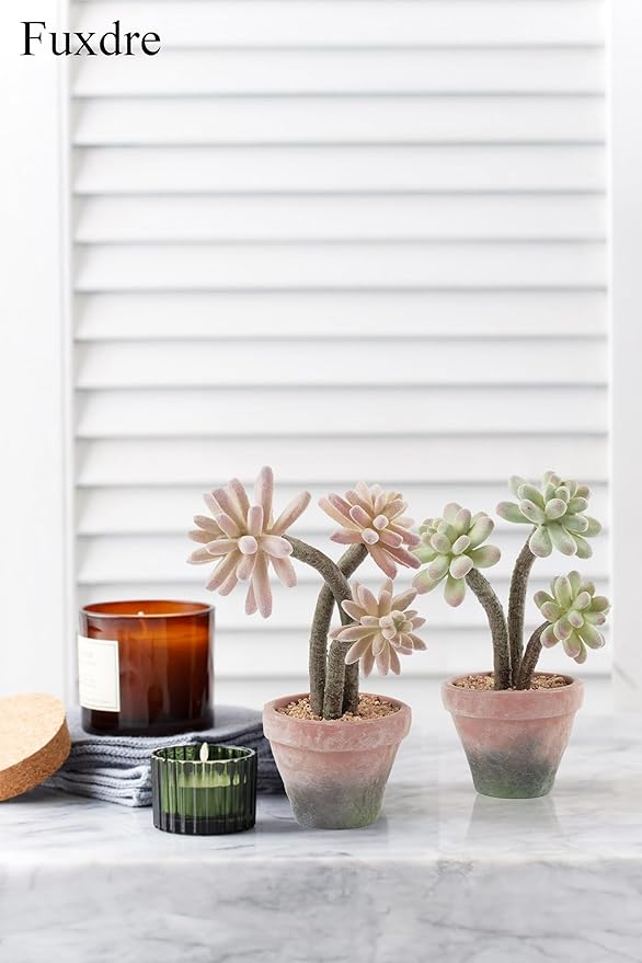 2-Pack Artificial Succulent Plants in Vintage Plastic Pots - Image 6