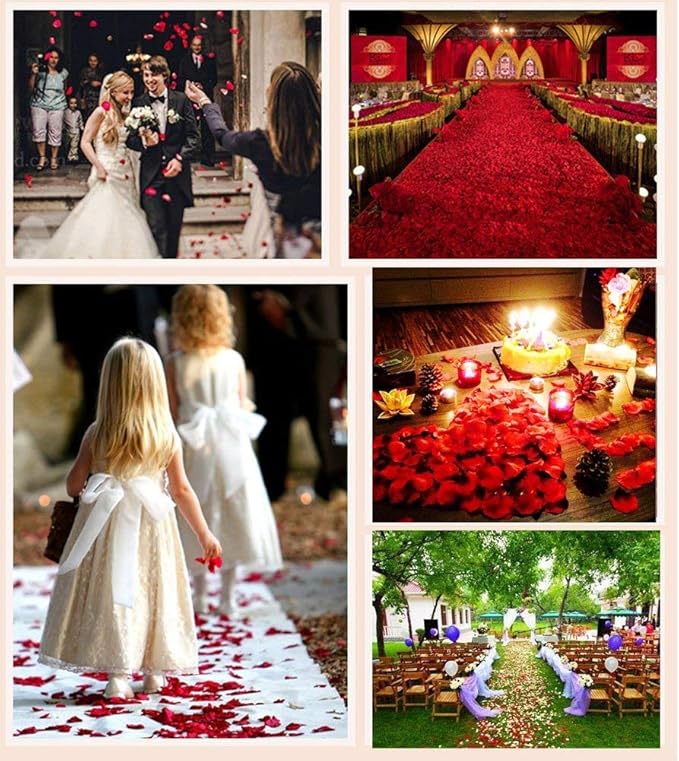 ocharzy 1000pcs Rose Petals Artificial Silk Flower Rose Petals - Image 5