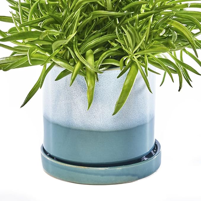 CHIVE ‘Minute’ Ceramic Planter Pot — Cute 5” Colorful Succulent Pots by Chive