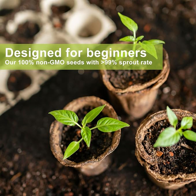 Bonsai Tree Kit with 4 Types of Seeds, Organic Coco Coir Bricks, Bonsai Pot - Image 5