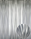 GOER 3.2 ft x 9.8 ft Metallic Tinsel Foil Fringe Curtains Party Photo Backdrop by GOER