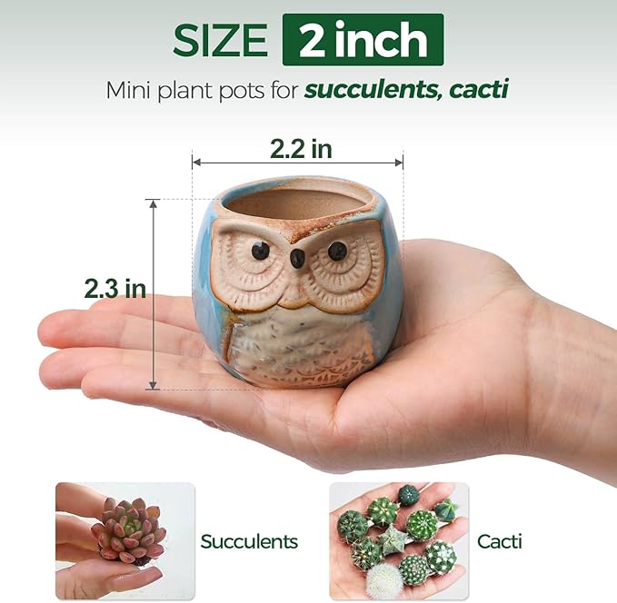 T4U 2.5 Inch Owl Ceramic Succulent Planter Pots - Image 2