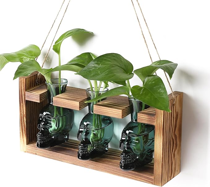 Plant Terrarium Propagation Stations Hydroponics Halloween Skull Planter Vase by Unknown
