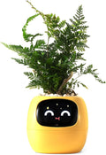 Smart pet Planter Robot Guidance on Plant Care by PlantsIO