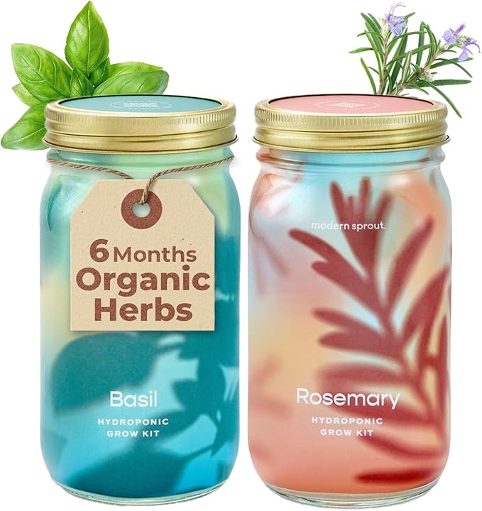 Modern Sprout Mason Garden Jar by ModernSprout
