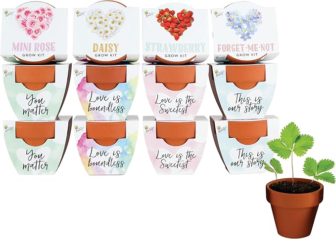 BUZZY Seeds Terracotta Mini Grow Pots Flower Plant Starter Kit – Love by BUZZY