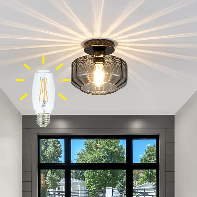 Smoked Glass Flush Mount Ceiling Light by Tbaoinla