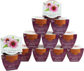BUZZY Seeds Terracotta Mini Grow Pots | Herb, Flower Starter Kit by BUZZY
