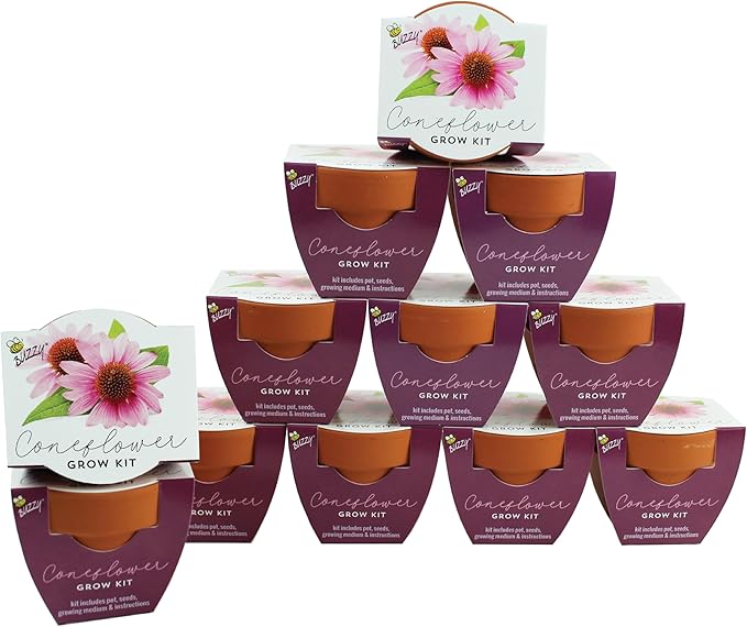 BUZZY Seeds Terracotta Mini Grow Pots | Herb, Flower Starter Kit by BUZZY