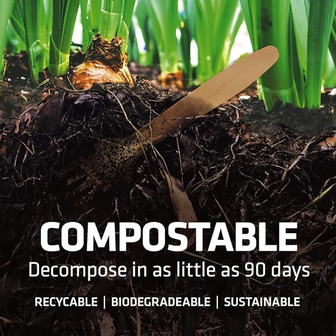 5.5 Inch Wooden Coffee Stirrers, Disposable & Compostable Wood Coffee Stick - Image 3