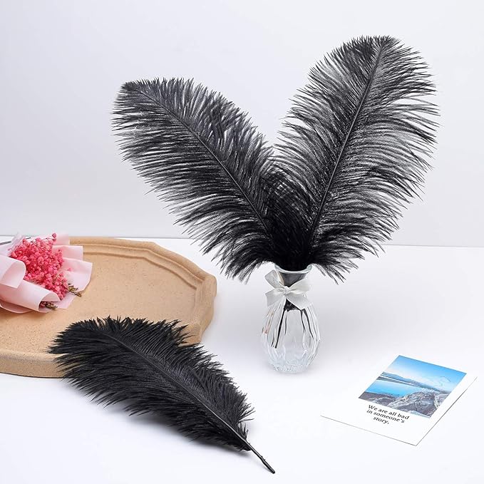 Ballinger Black Large Ostrich Feathers - Image 7