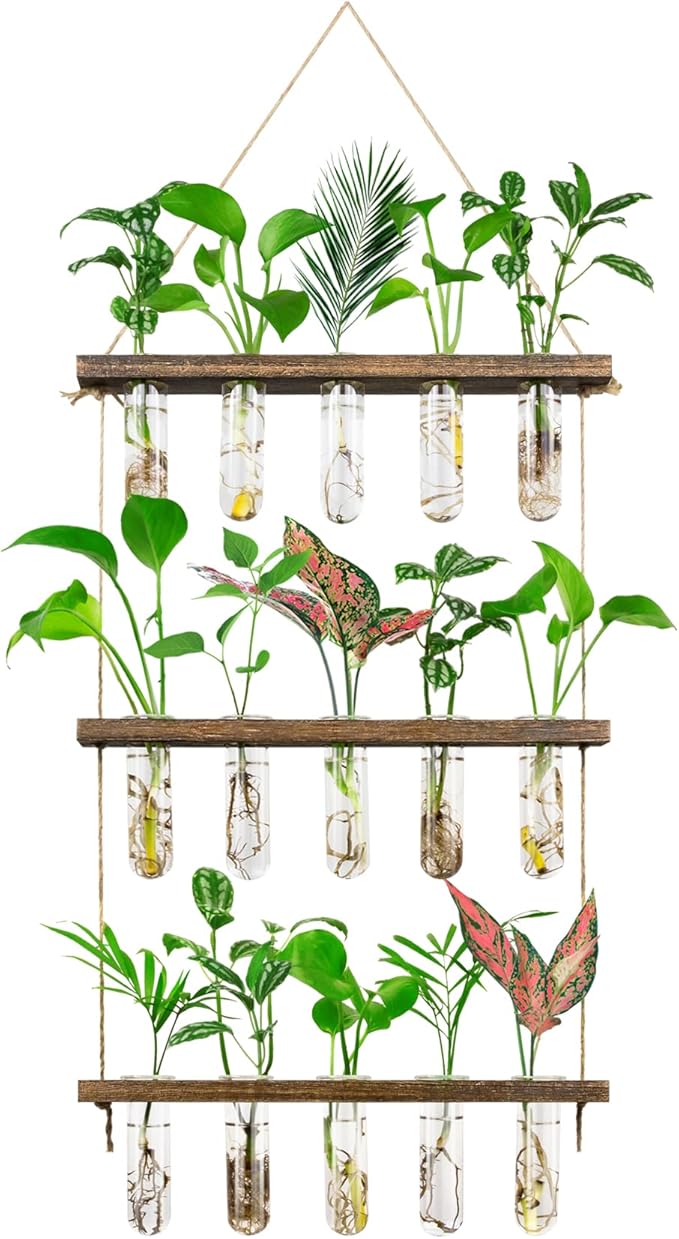 Monsiter QE 3 Tier Large Propagation Stations Wall Hanging Plant Terrarium by MonsiterQE