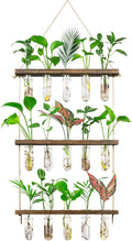 Monsiter QE 3 Tier Large Propagation Stations Wall Hanging Plant Terrarium by MonsiterQE