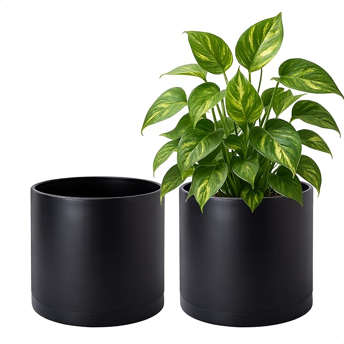 D'vine Dev 2 Pack 8 Inch Modern Plastic Plant Pots, Cylindrical Garden Planters by DvineDevPlanterPotsandStand