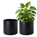 D'vine Dev 2 Pack 8 Inch Modern Plastic Plant Pots, Cylindrical Garden Planters by DvineDevPlanterPotsandStand