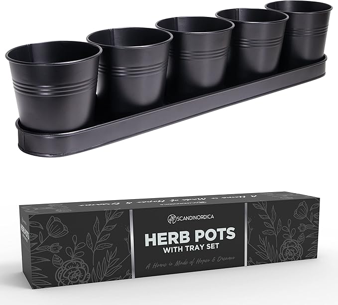 SCANDINORDICA Black Herb Planter – 5 Pots by SCANDINORDICA