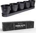 SCANDINORDICA Black Herb Planter – 5 Pots by SCANDINORDICA