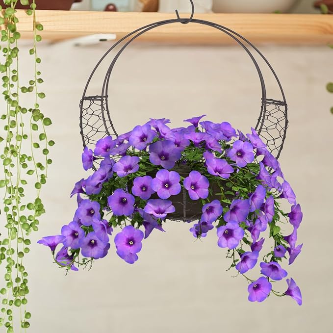 TOYANDONA Round Wire Wreath Frame: Moon Shaped Metal Hanging Sphere Planter - Image 3