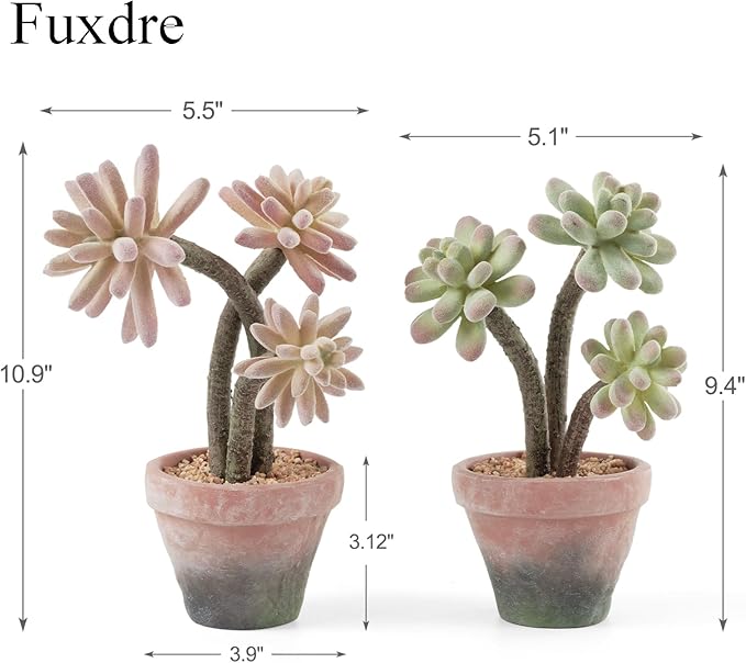2-Pack Artificial Succulent Plants in Vintage Plastic Pots - Image 2