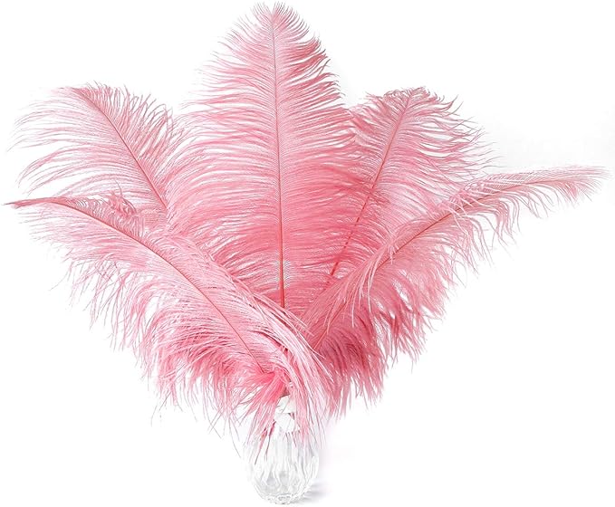 Ballinger Lotus Pink Ostrich Feathers by Ballinger