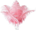 Ballinger Lotus Pink Ostrich Feathers by Ballinger