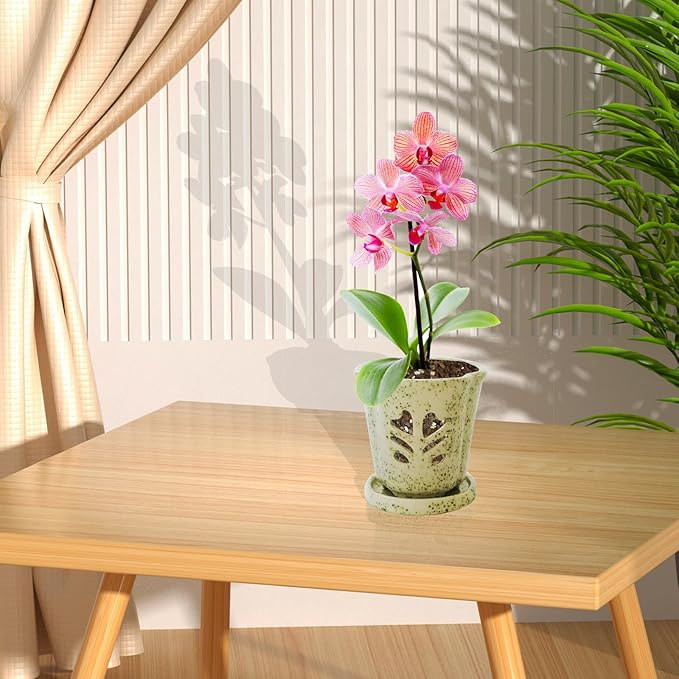 Orchid Pot 4 Inch, Ceramic Orchid Pots - Image 3