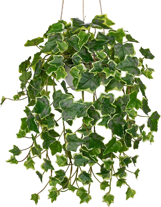 Hollyone Fake Hanging Plants by Hollyone