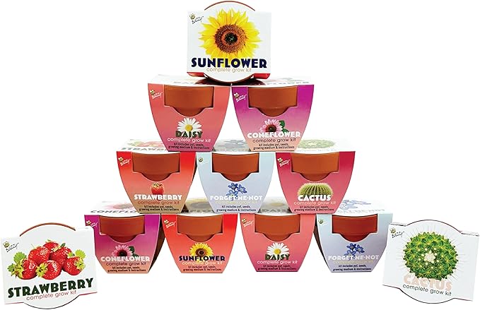 BUZZY Seeds Terracotta Mini Grow Pots | Herb, Flower Starter Kit by BUZZY