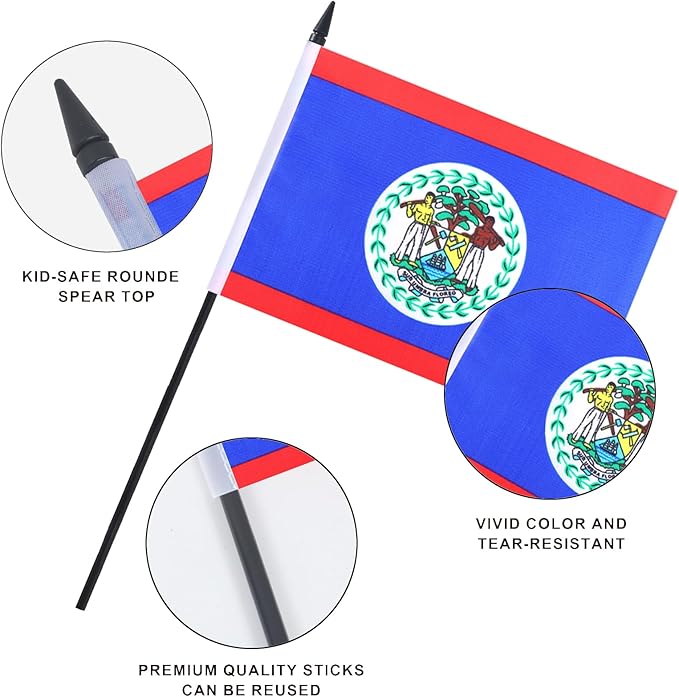 Belize Desk Flag 12" Solid Pole Deluxe Set Belizeans Flags Banner Mini Small - Image 4