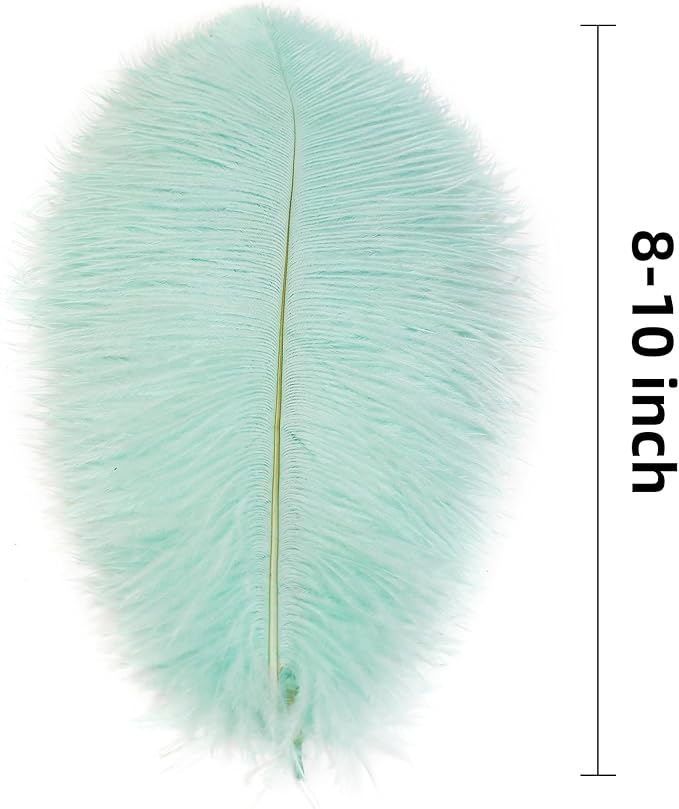 Ballinger Aqua Green Ostrich Feathers - Image 3