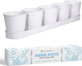 SCANDINORDICA White Herb Planter 5 Pots by SCANDINORDICA
