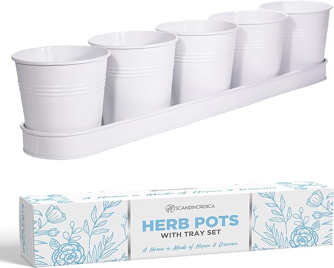 SCANDINORDICA White Herb Planter 5 Pots by SCANDINORDICA