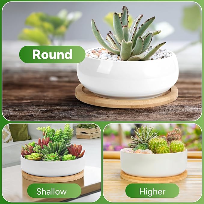 ZOUTOG 2 Pack Succulent Pots, 6 inch Ceramic Planters - Image 2