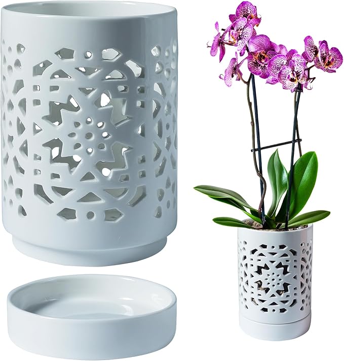 Orchid Pot 4 Inch, Orchid Pots by Unknown