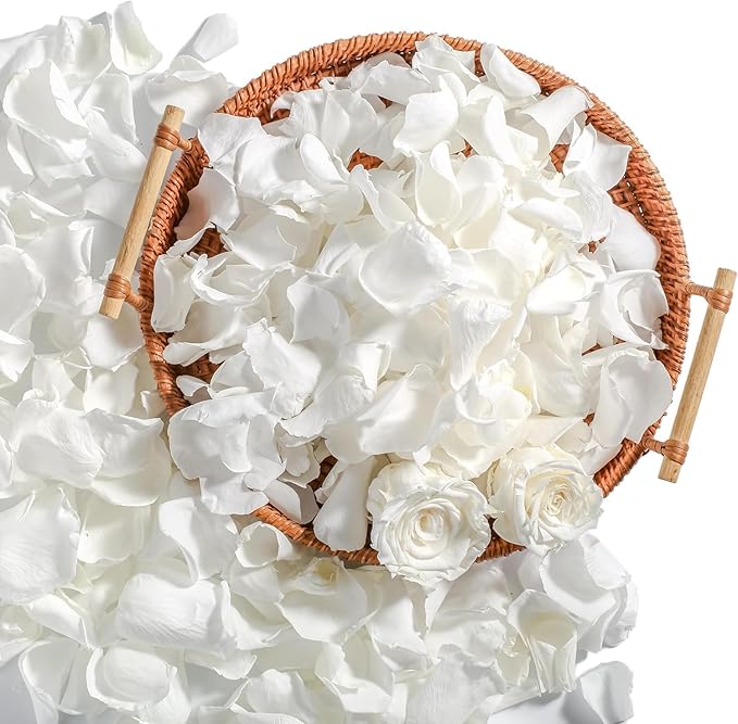 Real Ivory Rose Petals, Frozen Preserved Petals for, Wedding Party Decorations by Eslibin