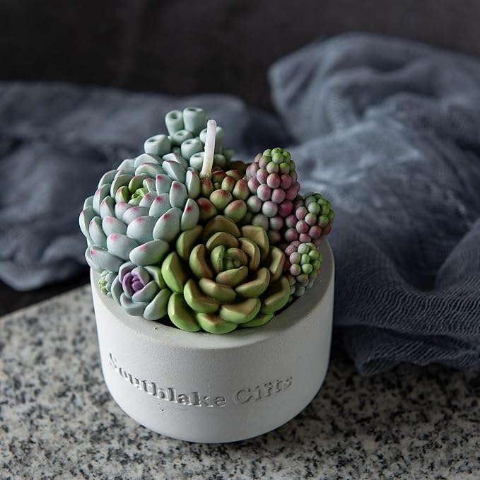 Assorted Succulent Pot Scented Candle - Image 8