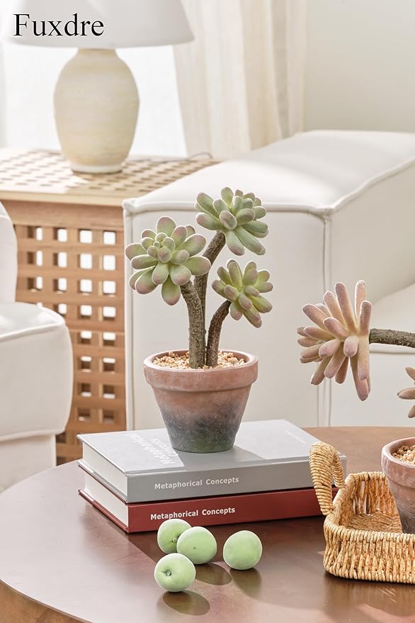 2-Pack Artificial Succulent Plants in Vintage Plastic Pots - Image 8