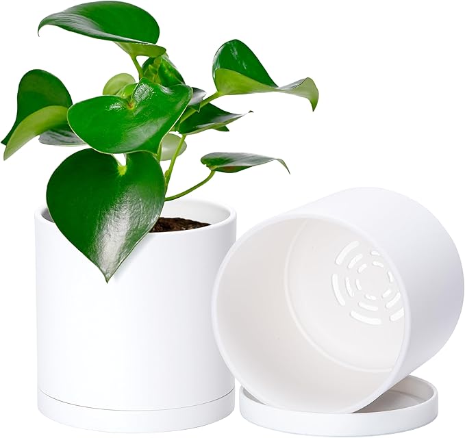 D'vine Dev 2 Pack 5 Inch Modern Plastic Plant Pots, Small Garden Planters by DvineDevPlanterPotsandStand