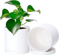 D'vine Dev 2 Pack 5 Inch Modern Plastic Plant Pots, Small Garden Planters by DvineDevPlanterPotsandStand