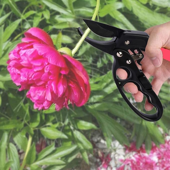 Ultra Sharp Germany Steel Pruning Shears - Image 9
